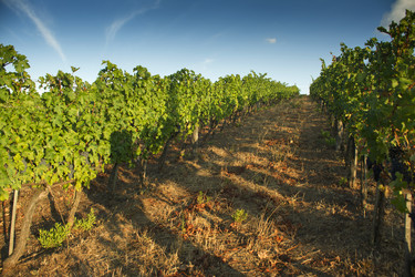 Similar image 11895987