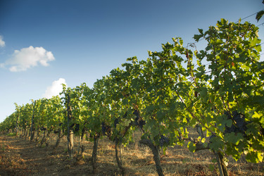 Similar image 11895988