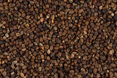 Similar image 11899163