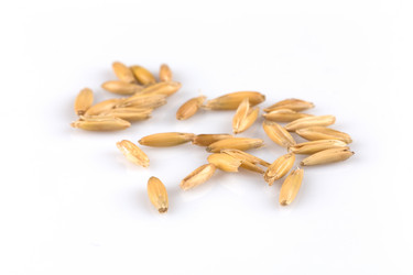 Similar image 11899869