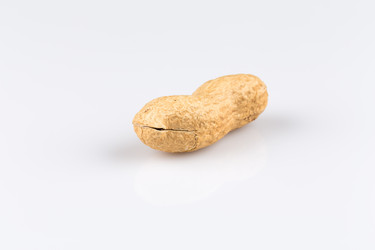 Similar image 11902859