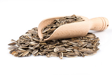 Similar image 11902861