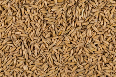 Similar image 11902862