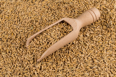 Similar image 11902864