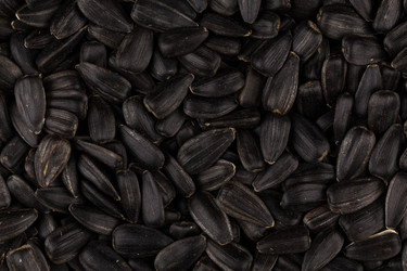 Similar image 11902865