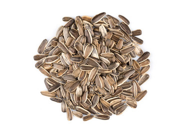 Similar image 11902866