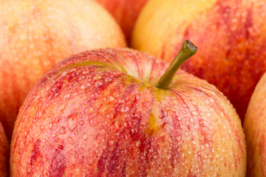 Similar image 11902867