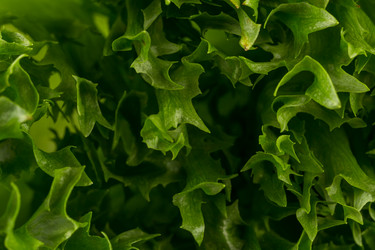 Similar image 11902875