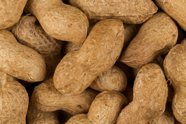 Similar image 11902880