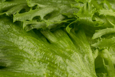 Similar image 11898707