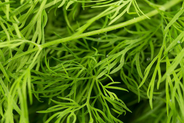 Similar image 11898709