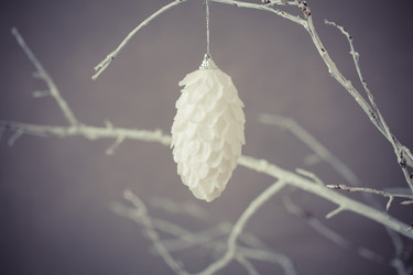 Similar image 11898970