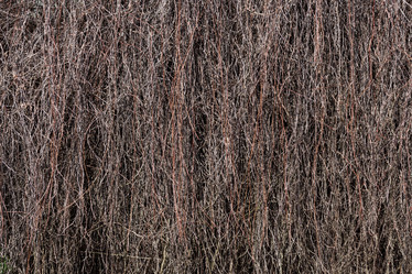 Similar image 11899331