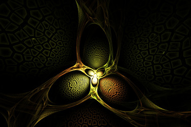 Similar image 11898435