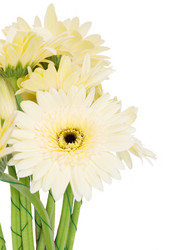 Similar image 11898472