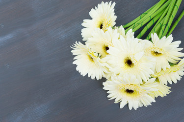 Similar image 11898501