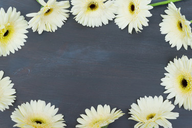 Similar image 11898522