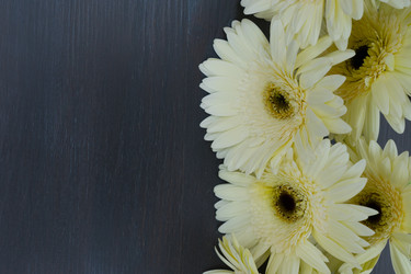 Similar image 11898580