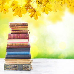 Similar image 11913009