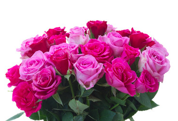 Similar image 11912542