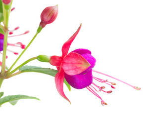 Similar image 11912841