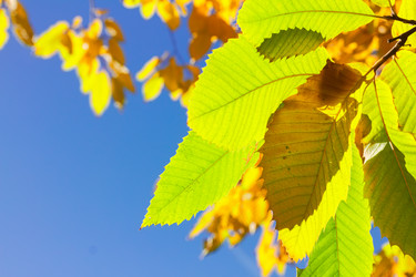 Similar image 11912989