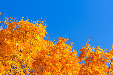 Similar image 11899244