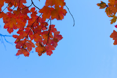 Similar image 11899296