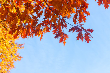 Similar image 11899297