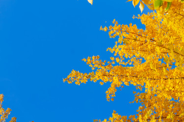 Similar image 11899299