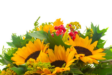 Similar image 11899477