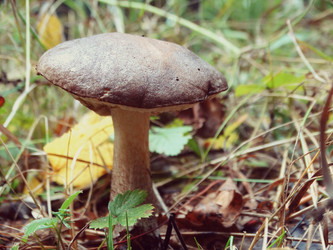 Similar image 11895954