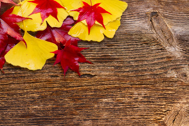 Similar image 11899723