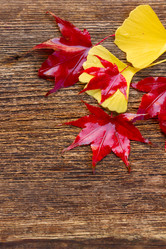 Similar image 11899613