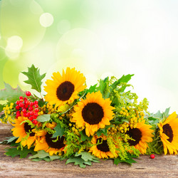 Similar image 11899774