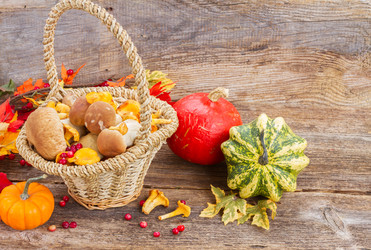 Similar image 11899795