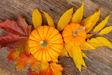 Similar image 11899849