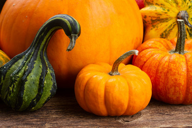 Similar image 11899734