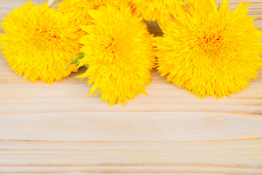 Similar image 11900294