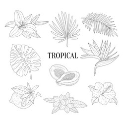 Similar image 11889438