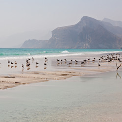 Similar image 11898974