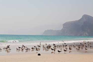 Similar image 11898976