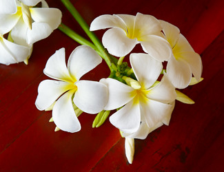 Similar image 11910441