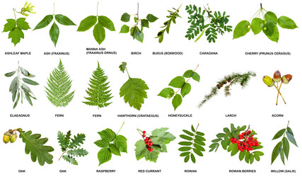 Similar image 11898553