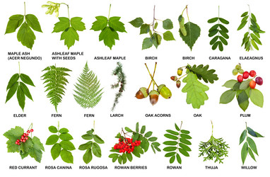 Similar image 11898586