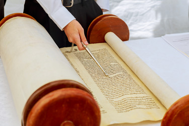 Similar image 11902191