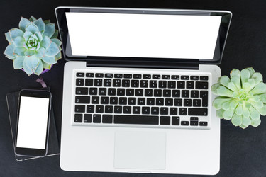 Similar image 11900297