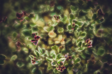 Similar image 11899017