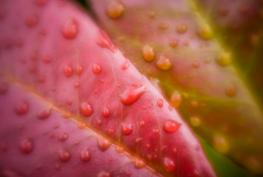 Similar image 11899018