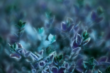 Similar image 11899020